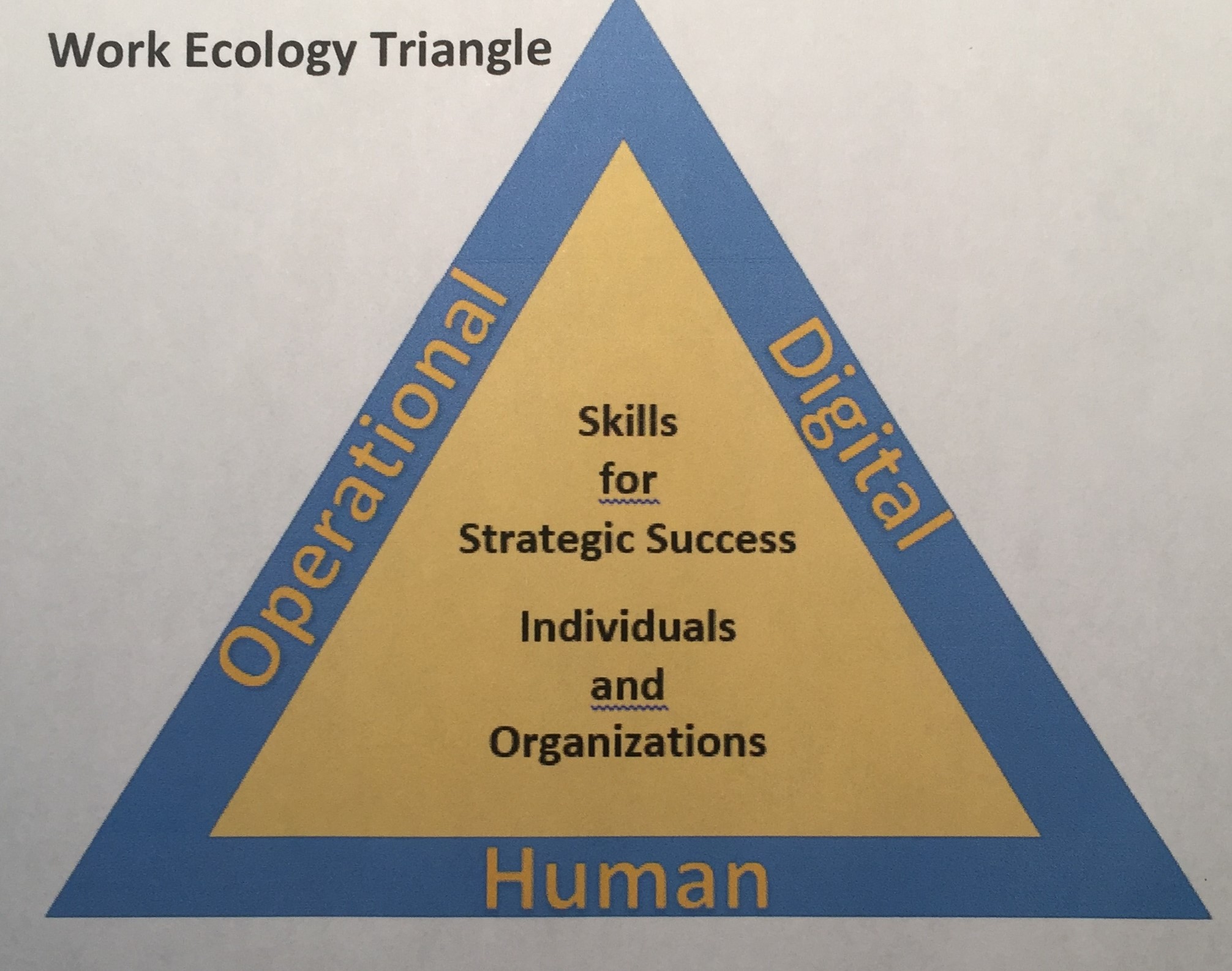 The Work Ecology Triangle: Key To Strategic Development - Association 